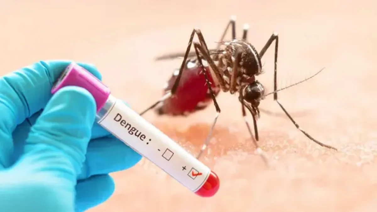 ডেঙ্গুতে আরও ৪ মৃত্যু, নতুন ভর্তি ১৫১২