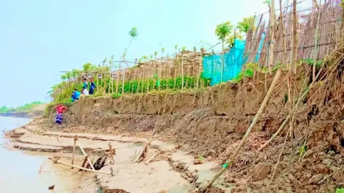 ভাঙনে ২০০ একর জমি দুই মাসে পদ্মায় বিলীন