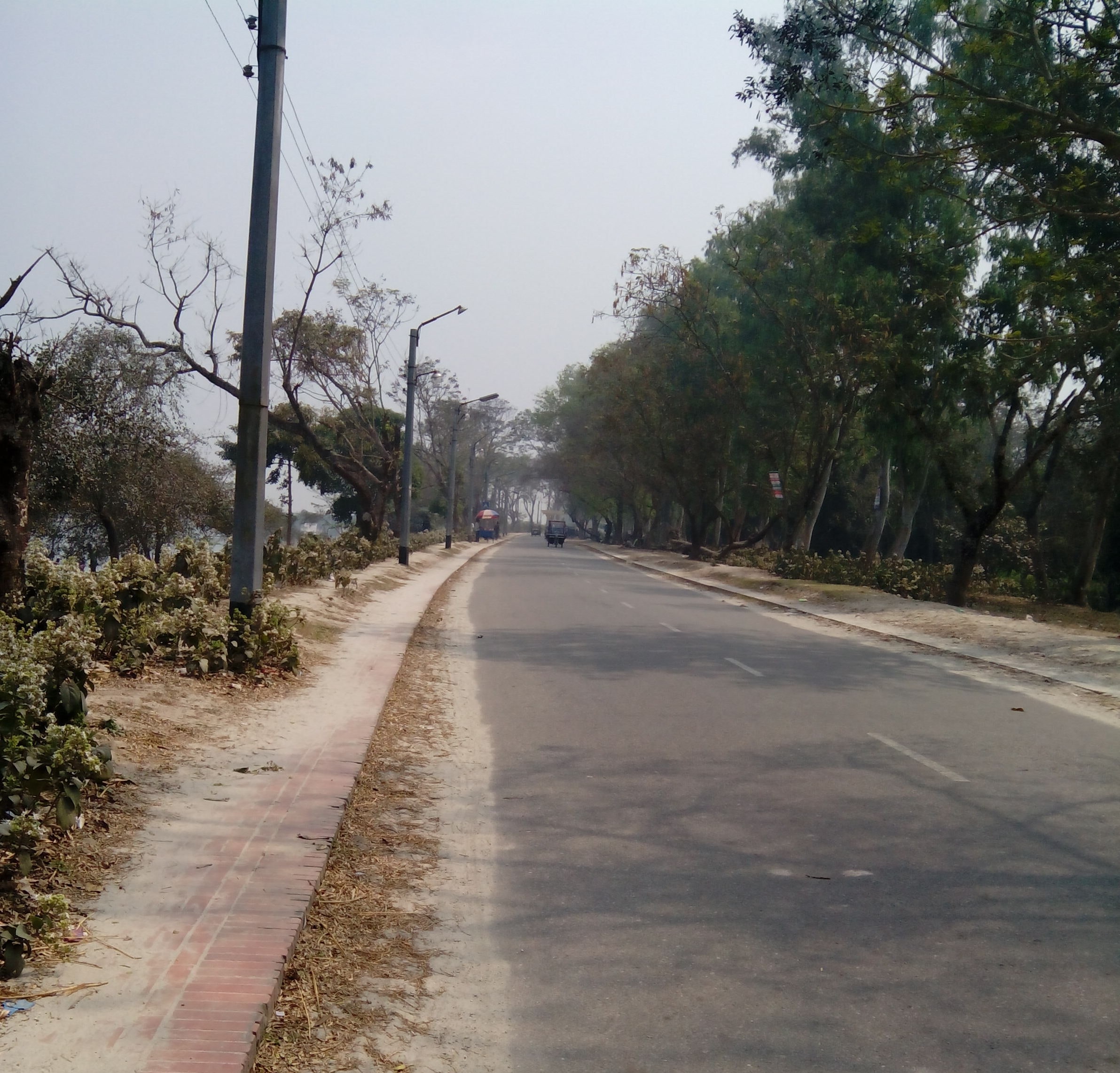 শার্শায় কাভার্ডভ্যান নিয়ন্ত্রণ হারিয়ে গাছে ধাক্কা, চালকের সহকারী নিহত