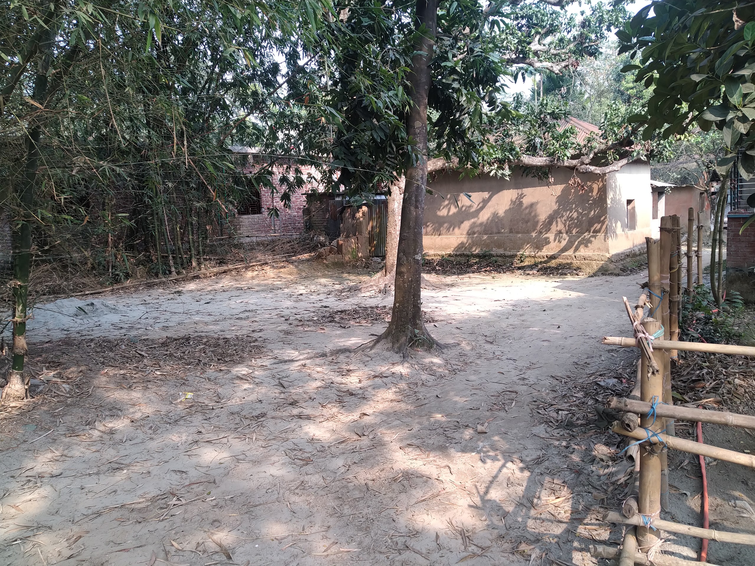 গাছপালায় ঘেরা গ্রামের মাটির বাড়ি ও আঙিনা