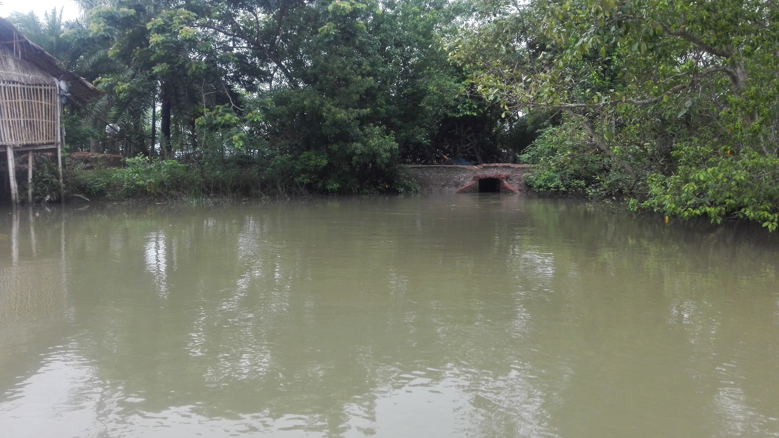 বড়াইগ্রামে ডোবার পানিতে ডুবে শিশুর মৃত্যু