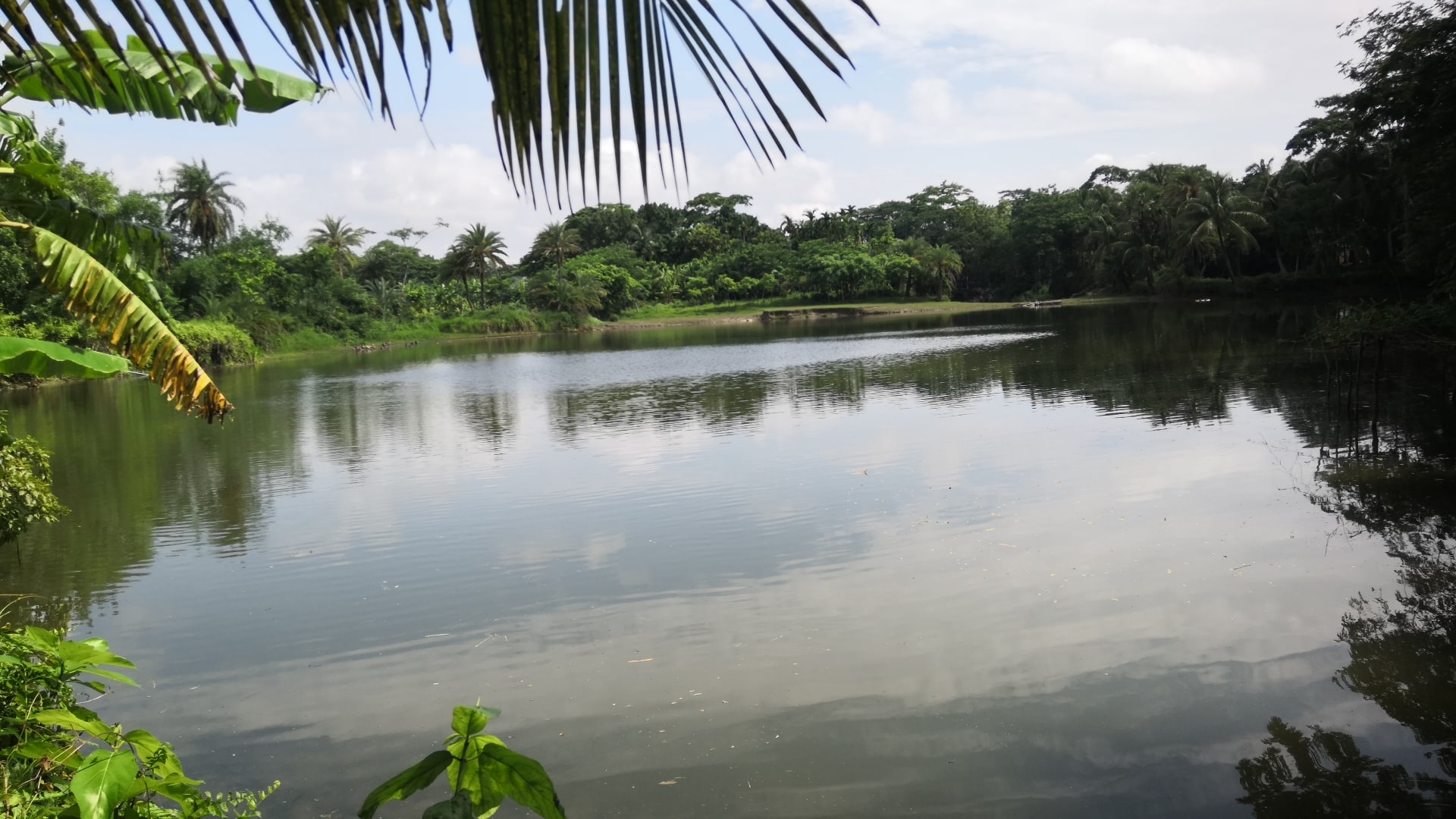 ব্রাহ্মণপাড়ায় পানিতে ডুবে ২ শিশুর মৃত্যু